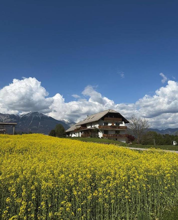 Maison d’hôte pour 5 personnes, avec vue et jardin à Bled - 2