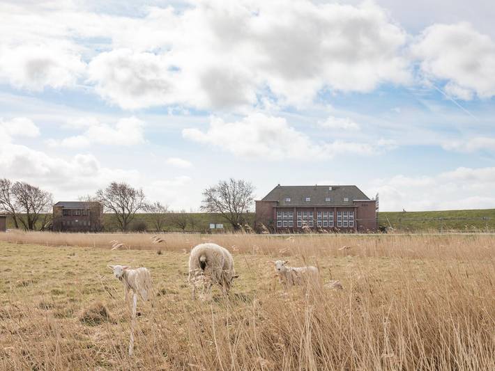 Ferienwohnung für 4 Personen, mit Sauna und Terrasse, kinderfreundlich in Hattstedtermarsch - 3