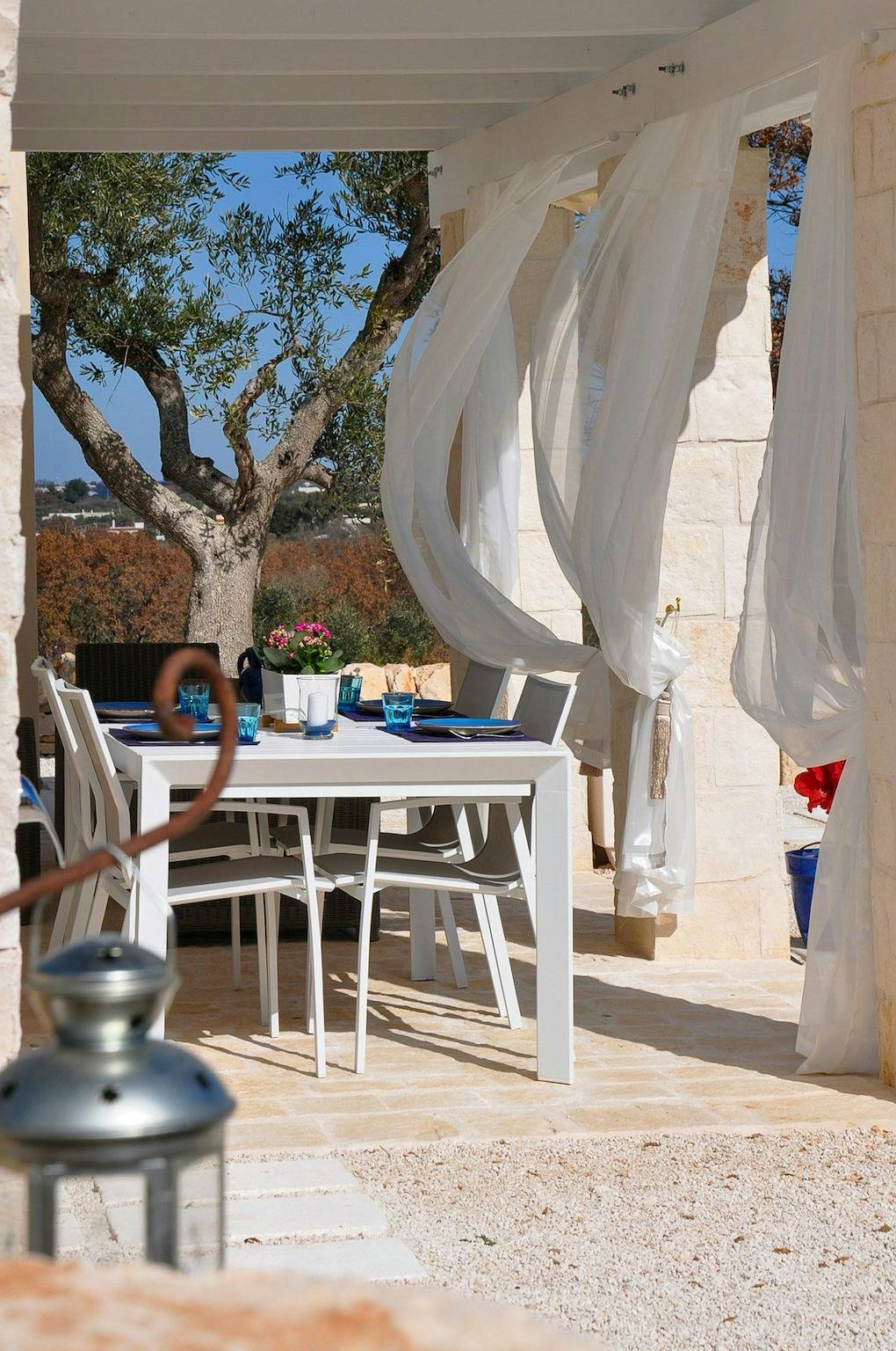 Ein Trullo inmitten jahrhundertealter Olivenbäume in der Nähe von Alberobello in Martina Franca, Tarent Provinz
