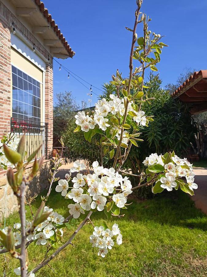 Location de vacances pour 4 personnes, avec jardin, animaux acceptés à Escalona - 3