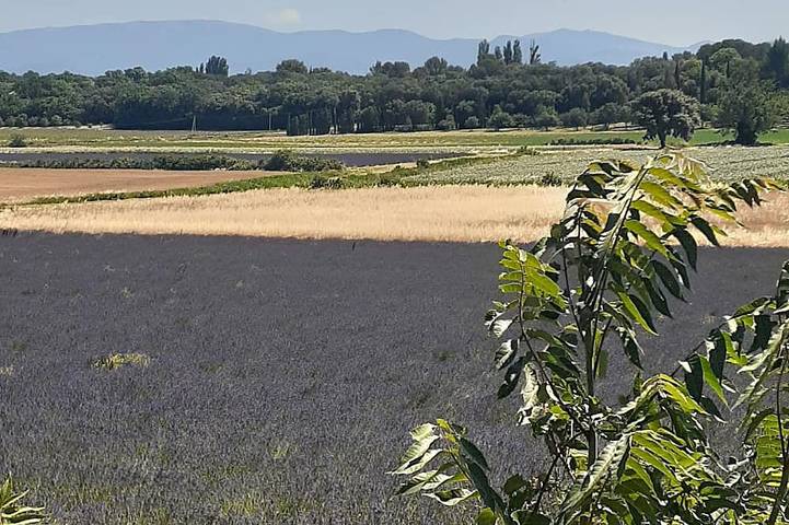 Maison de vacances pour 13 personnes, avec Balcon et Jardin à Suze-la-Rousse