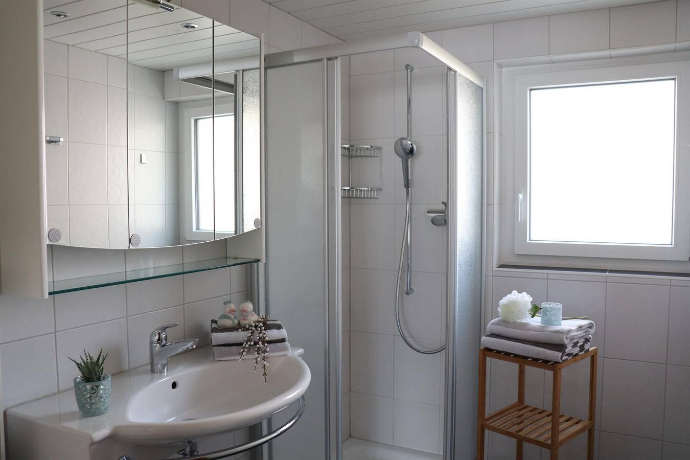 Ganze Ferienwohnung, 4-Bettwohnung Nr. 20 in Saas-Grund, Walliser Alpen