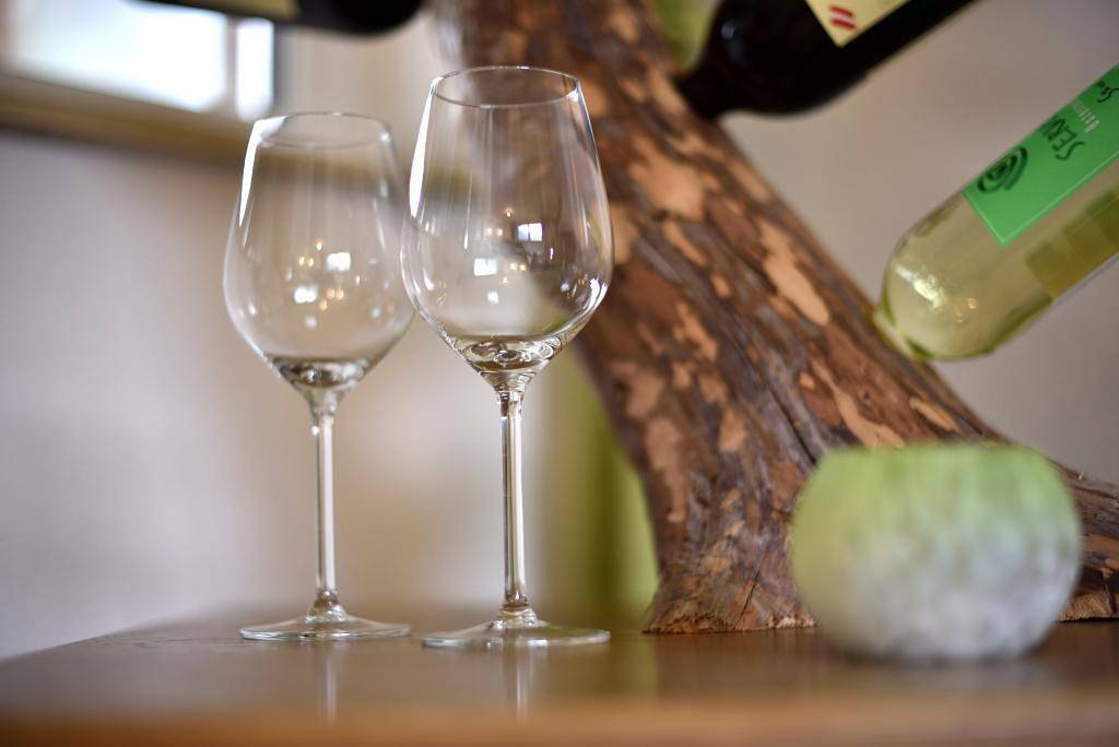 Ferienhaus in Häselgehr, Allgäuer Alpen (Österreich)