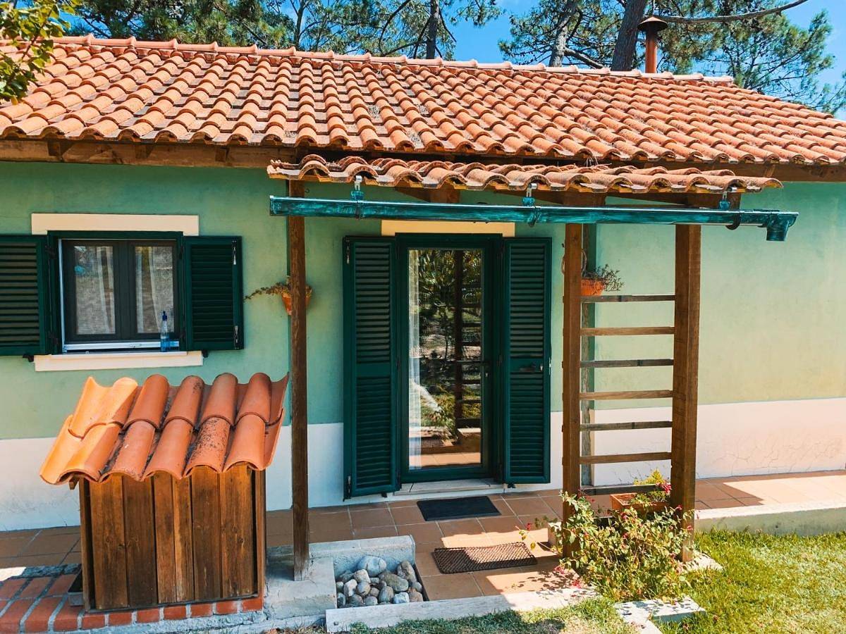 One-Bedroom House in Nadadouro, Leiria District