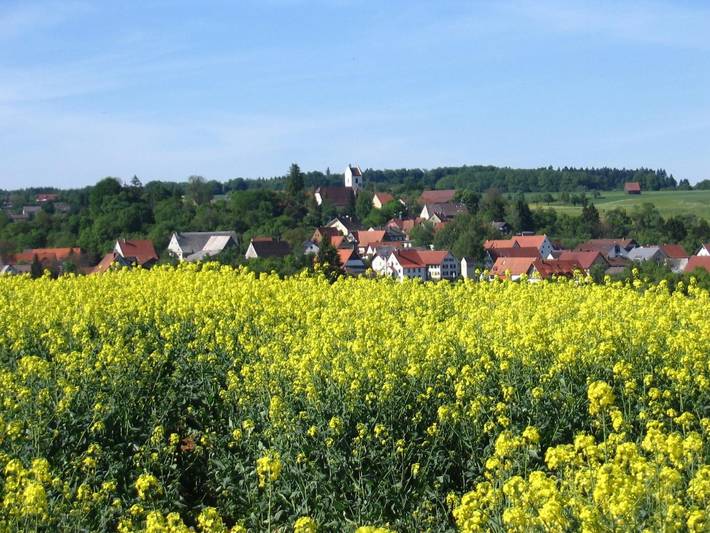 Ferienhaus 100 im Fuchsweg - Ferienhaus für 6 Personen in Bad Dürrheim, Mittlerer Schwarzwald