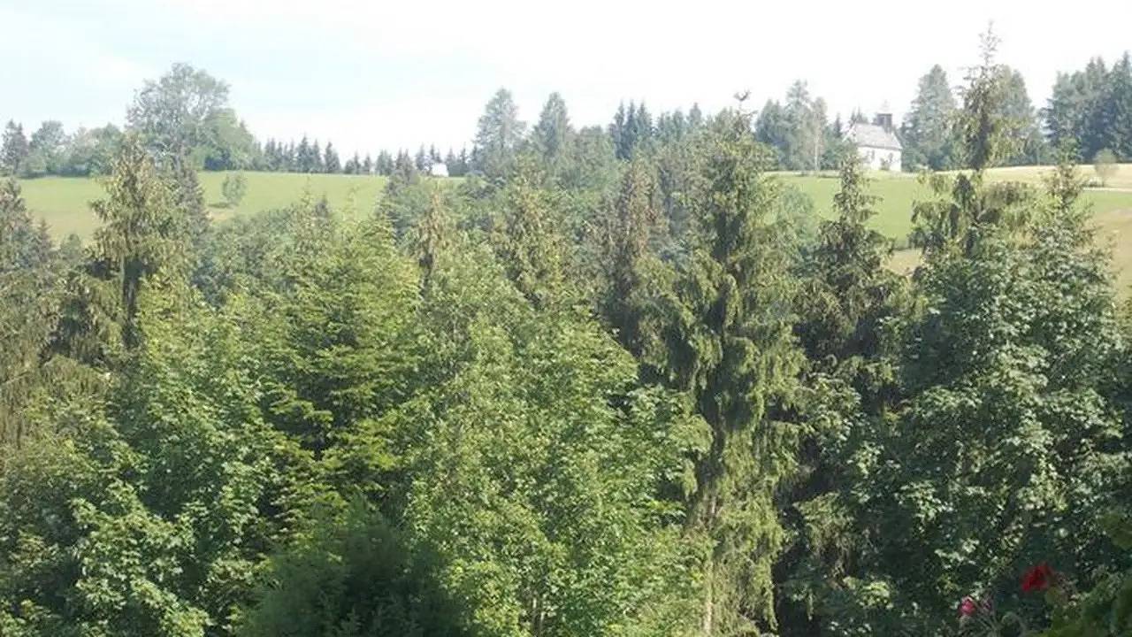 Doppelzimmer für 1 Personen (22 m²) in Weyregg am Attersee in Salzkammergut-Berge, Weyregg am Attersee