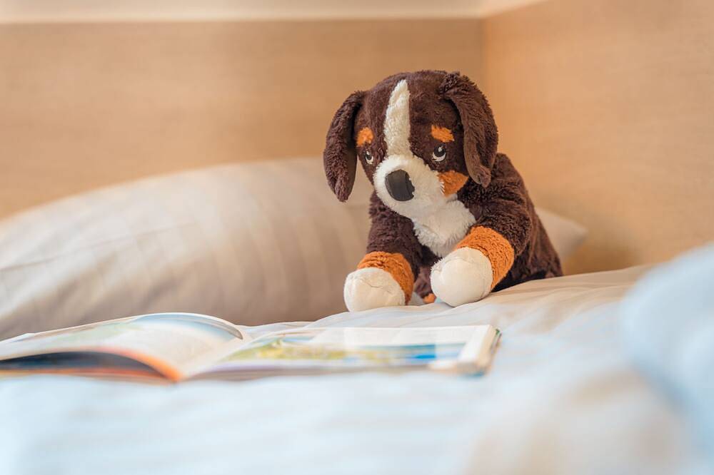 Ganze Wohnung, Rob 11 für 5 Personen, ca. 78 qm, Sauna - Feriendorf Robbenplatte Burhave (2) in Burhave, Butjadingen