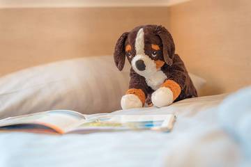 Ferienpark für 5 Personen in Burhave, Butjadingen, Bild 4