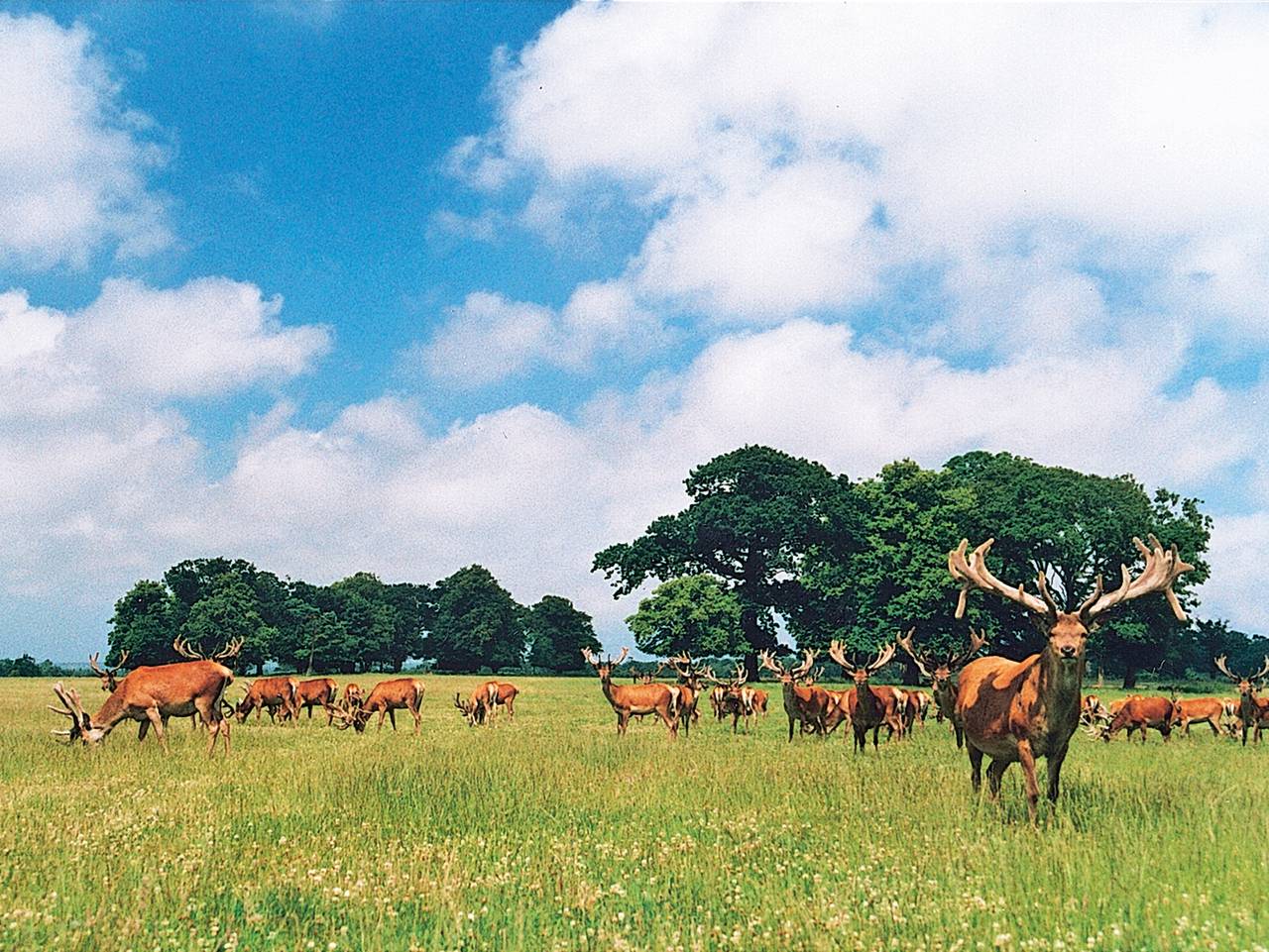 Cottage for 2 People in Hanworth, Norfolk