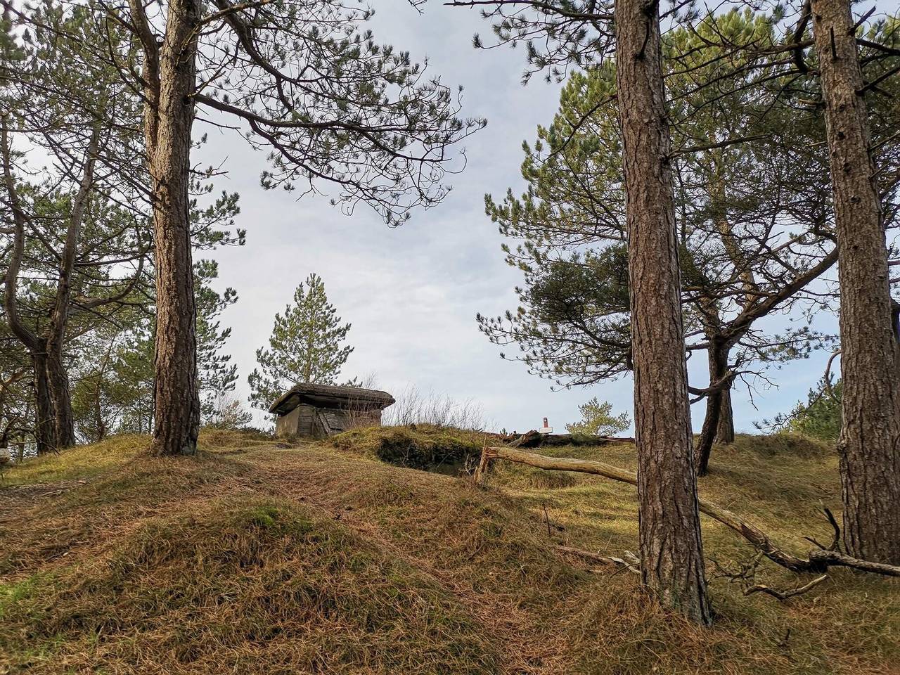 4 personas casa en Oksbøl in Región de Varde