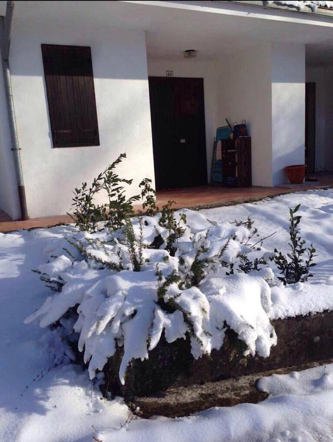 Gîte pour 4 personnes, avec jardin et vue à Riolunato - 3