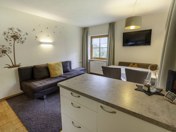 Ferienwohnung für 4 Personen, mit Terrasse und Garten in Schröcken - 4