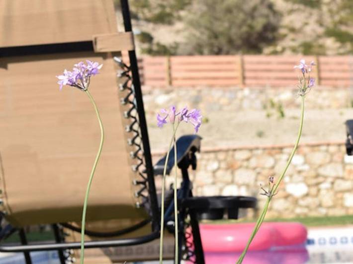 Villa mit pool für 6 Personen, mit Garten und Meerblick auf Kos - 4