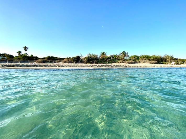 Gîte pour 3 personnes, avec vue ainsi que jardin et balcon dans Playa Migjorn Formentera - 2