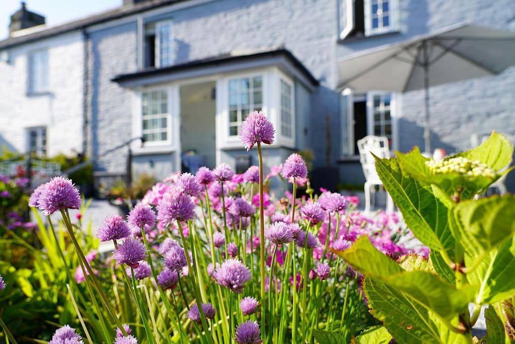 Luxury holiday cottage by the harbour in St Mawes in St Mawes, Cornwall
