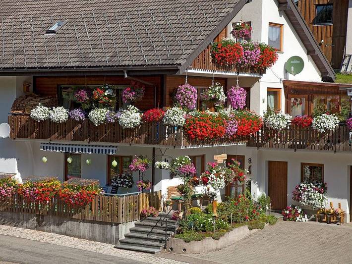 Ferienhaus für 3 Personen, mit Terrasse in Titisee-Neustadt - 2