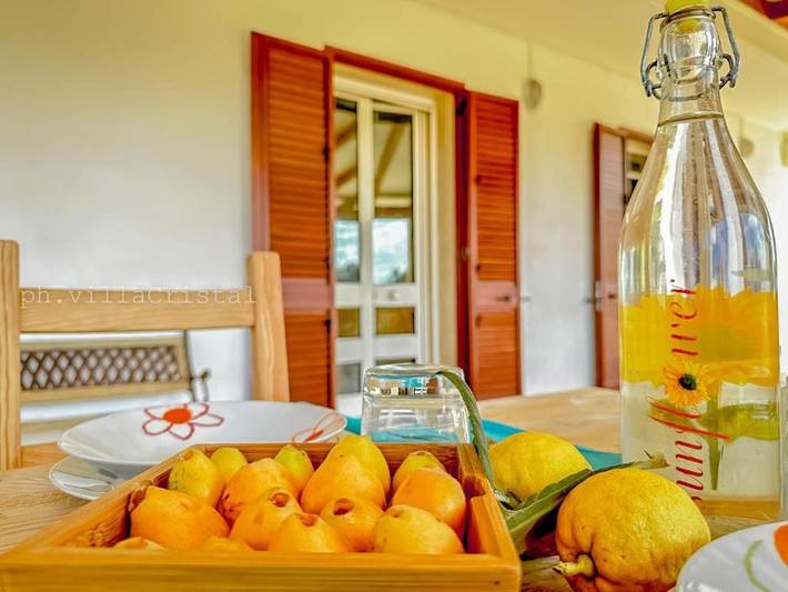 Villa con piscina per 12 persone, con Terrazza e Giardino nonché Piscina per bambini e Piscina a Gallipoli