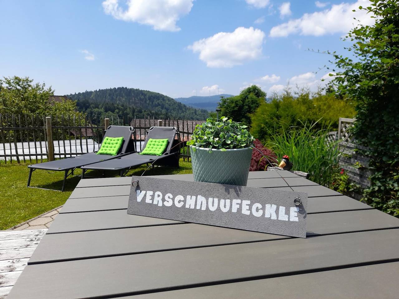 Appartement entier, Penthouse avec balcon, jardin clos & terrasse in Suedlicher Schwarzwald, Görwihl