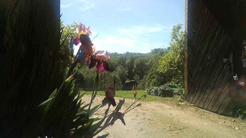 Chambre d’hôte pour 2 personnes, avec jardin dans l' Ain - 3