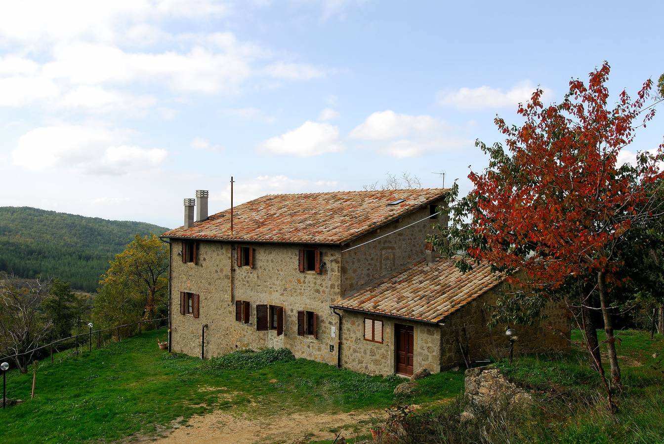 Appartamento intero, - Agriturismo La Piaggia - appartamento vista bosco piano terra 2 ospiti in Castiglione d'Orcia (comune), Val d’Orcia