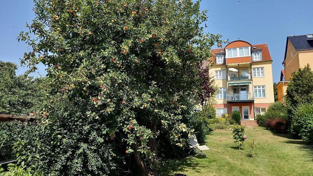Apartamento entero, Ferienwohnung "Inselblick" mit Wassergrundstück, Seeblick und Bootliegeplatz in Malchow, Fleesensee