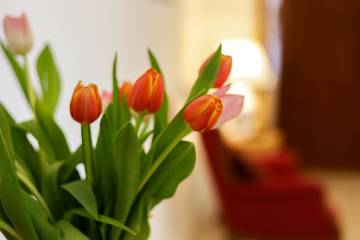 Casa Vacanza per 5 Persone in Sannicola, Golfo di Taranto, Foto 1