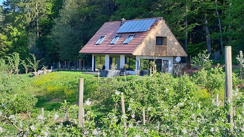 Ferienhaus für 6 Personen, mit Sauna und Garten sowie Whirlpool - 1