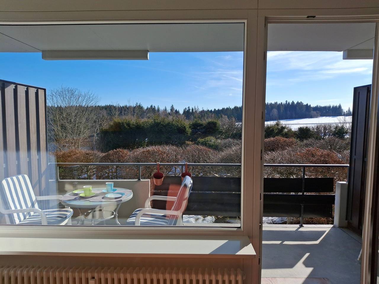 Ganze Wohnung, Apartment 'Schönblick' in ruhiger, wunderschöner Aussichtslage; Hallenbad in Höchenschwand, Südschwarzwald