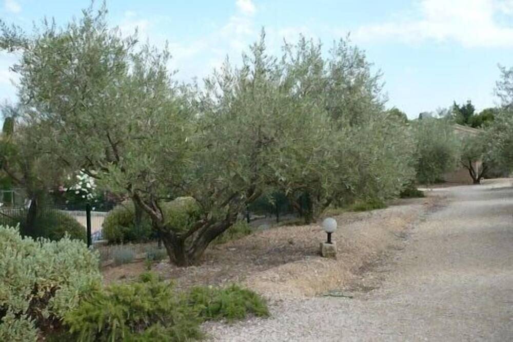 Ferienhaus in einer Ferienanlage in Saint-Rémy de Provence, Ruhe und Komfort in Saint-Rémy-de-Provence, Arles und Umgebung