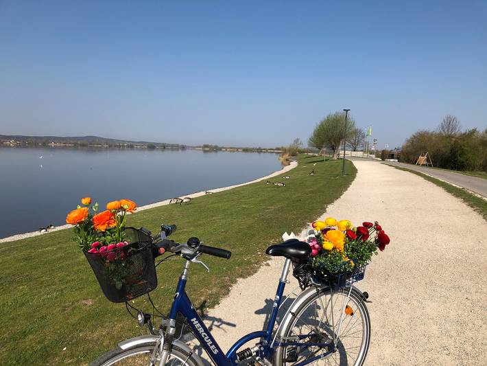 Ganze Wohnung, Ferienwohnung Zugvogel - Ferienwohnung in Muhr am See, Fränkisches Seenland