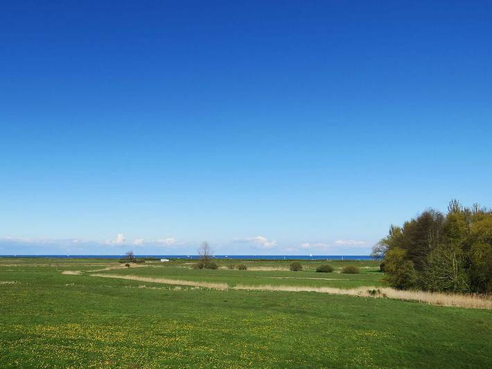 Ferienhaus mit Meerblick für 4 Personen, mit Garten und Meerblick sowie Terrasse, mit Haustier in Schönhagen - 4