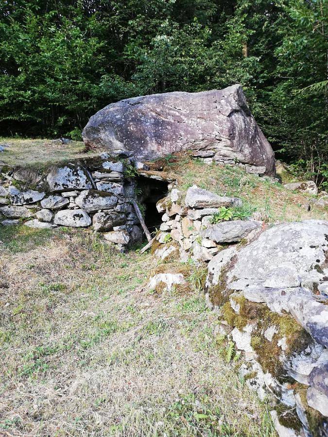 Chalet per 6 persone, con panorama e giardino, con animali domestici - 1