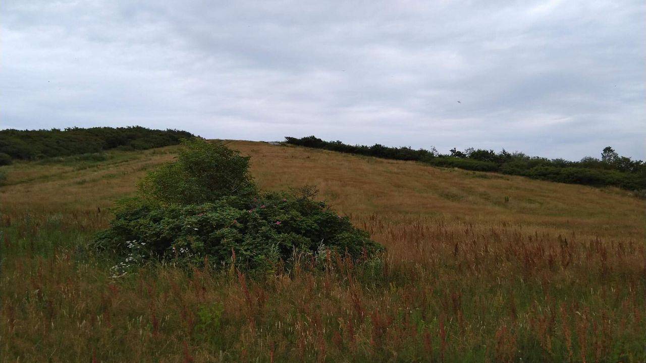 Ferienhaus für 5 Personen (69 m²) in Esbjerg V in Esbjerg, Esbjerg und Umgebung