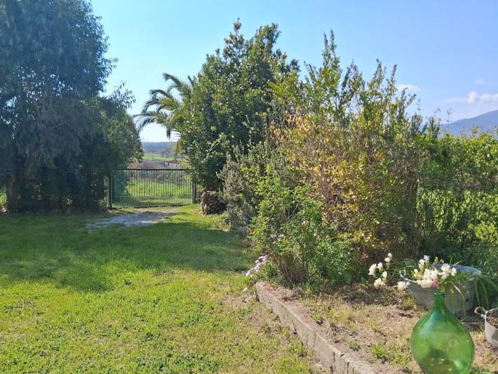 Ferienhaus 'Meloro' mit privatem Garten, Balkon und WLAN in Serre, Salerno Provinz