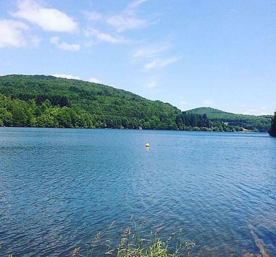 Location de vacances pour 4 personnes, avec jardin, animaux acceptés à Anglès (Tarn) - 3