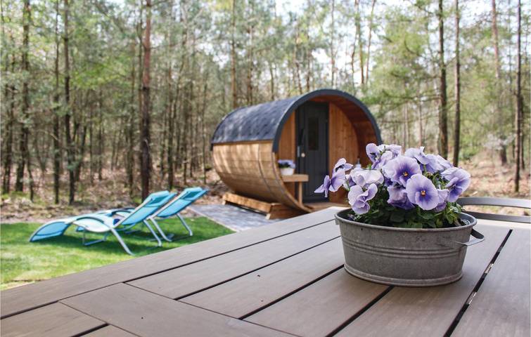 Ferienhaus für 6 Personen, mit Sauna und Garten sowie Terrasse, mit Haustier in Ommen - 3