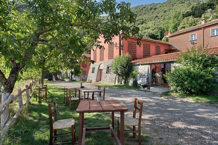 Double Room 2 in Farmhouse Surrounded by Nature in Castiglione Chiavarese, Riviera di Levante