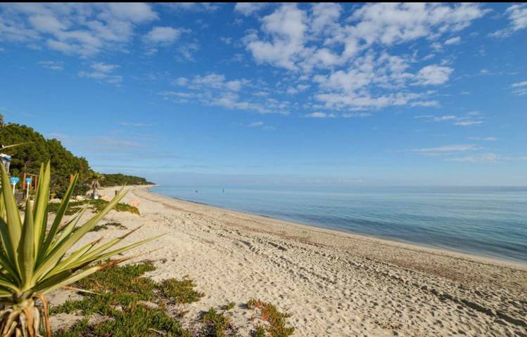 Gîte pour 3 personnes, avec terrasse à Prunelli-di-Fiumorbo - 2