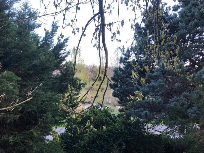 Gîte pour 4 personnes, avec jardin ainsi que vue sur le lac et vue à Aussonne - 4