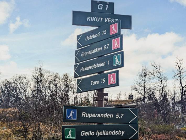 Ganze Wohnung, 4 Personen Ferienhaus in Geilo in Geilo, Hol