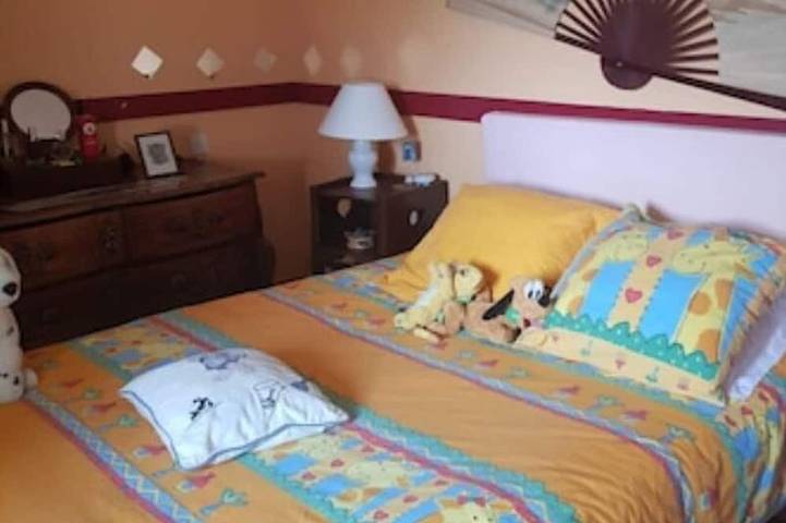 Location de vacances pour 9 personnes, avec jardin et terrasse, animaux acceptés à Saint-Théodorit - 3