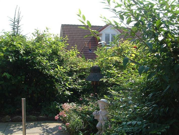 Ferienhaus für 6 Personen, mit Terrasse in Papenburg - 4