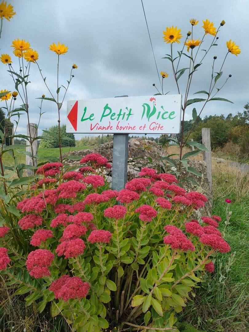 Le Petit Nice - Gîte 6 à 13 personnes in Raucoules, Haute-Loire
