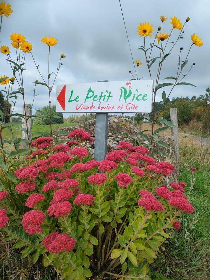 Gîte pour 13 personnes, avec jardin ainsi que jacuzzi et terrasse en Haute-Loire - 3