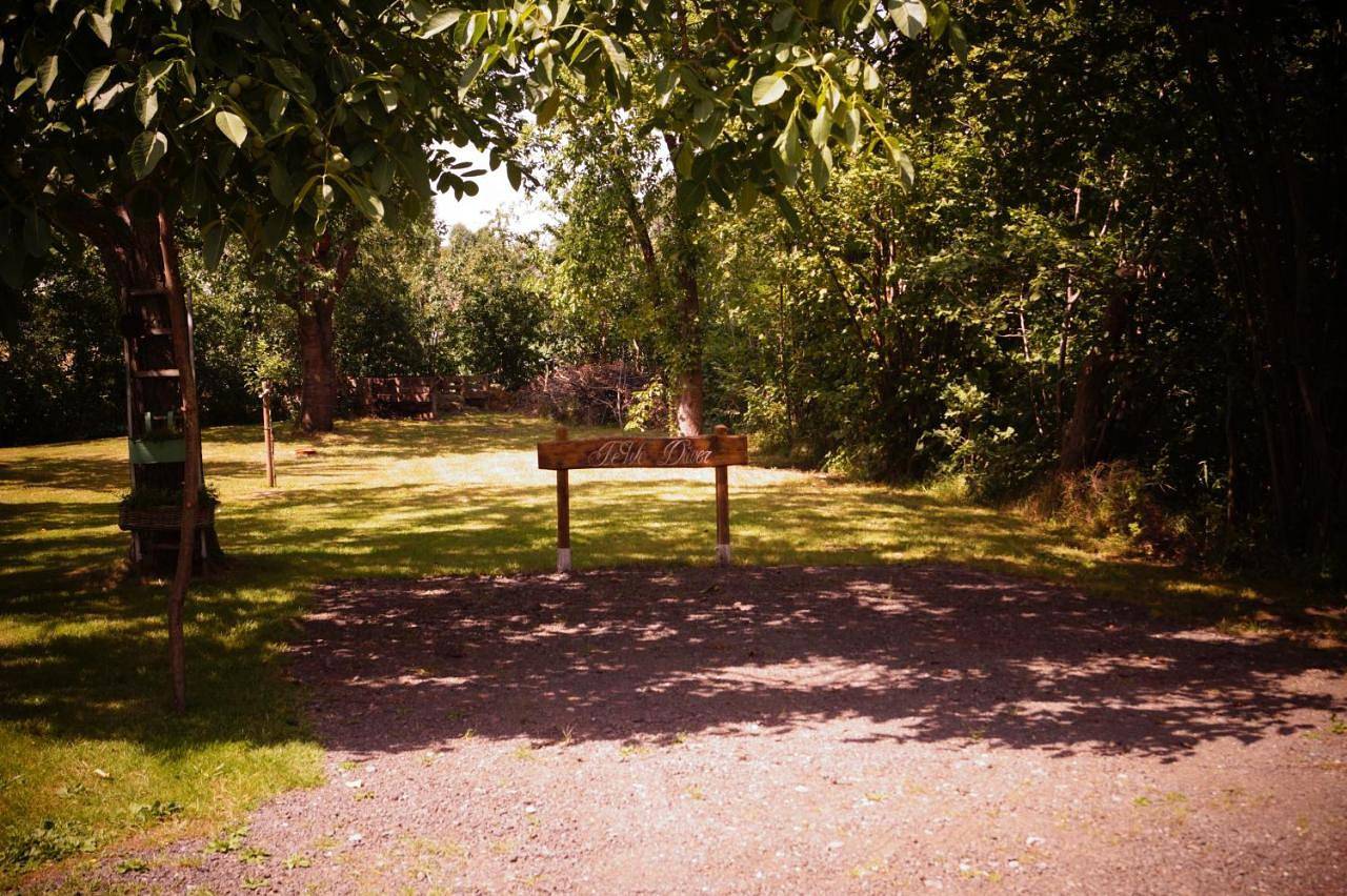 Ganze Wohnung, Apartment with Garden View in Loxstedt, Südliches Cuxland