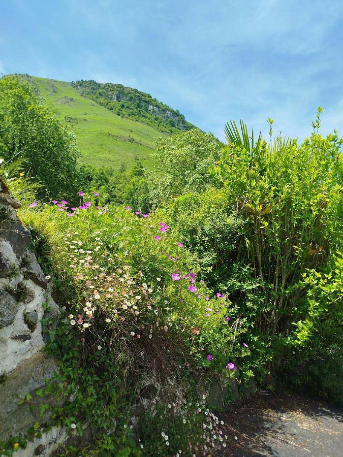 Location de vacances pour 6 personnes, avec vue et jardin, animaux acceptés à Gère-Bélesten - 3