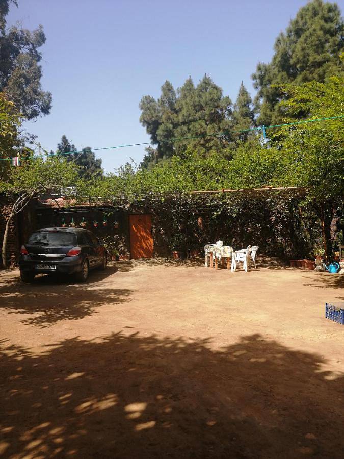 Gîte pour 3 personnes, avec jardin à San Juan de la Rambla - 4