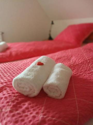 Ferienhaus für 5 Personen in Rheine, Münsterland, Bild 4