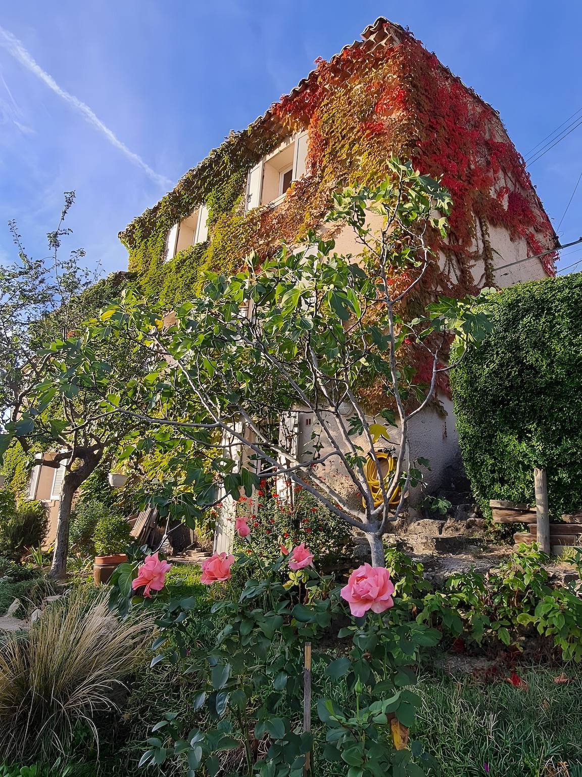Chambres d'hôtes chez Thibaut et Sophie in La Motte-d'Aigues, Parc naturel régional du Luberon