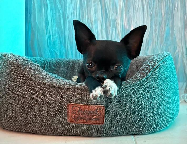 Gîte pour 6 personnes, avec vue et terrasse à Thal